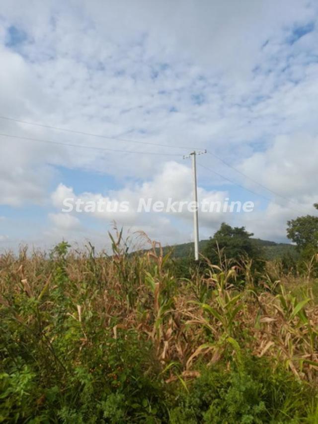 Vrdnik-Jazak-Velika Parcela 10800 m2 za kupce sa Posebnim stilom života sa Pogledom na pola Srema-06