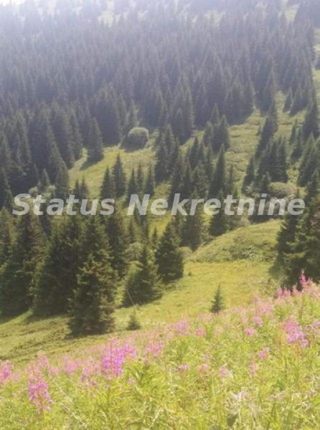 Kopaonik-Velika Građevinska Parcela 18420 m2 za Biznis-065/385 8880