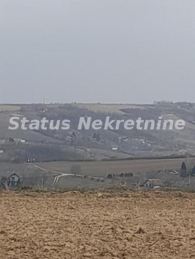 Petrovaradin-Veliki Građevinski Plac 3625 m2 na Platou Vezirca-065/385 8880