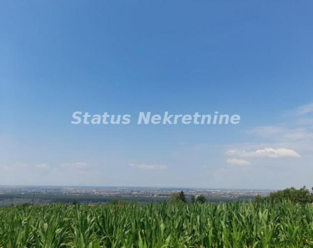 Rakovac-Vasionski Građevinski Plac 6580 m2 na Salaksijama-065/385 8880