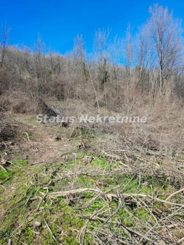 Sremski Karlovci-Fantastičan osunčan plac 7025 m2 za Vinograd i sa pogledom-065/385 8880