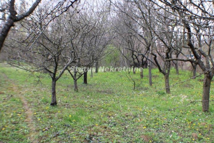 Banstol-*Super Povoljno*-Veliki Građevinski Plac 2165 m2 u Zelenoj Oazi sa bezplatnom strujom-065/38