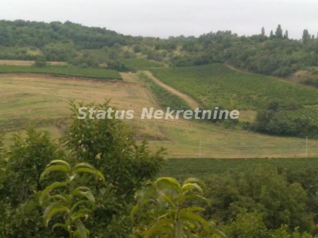 Sremski Karlovci-Stražilovo-Visinska Vikendica u Rajskoj bašti-065/385 8880