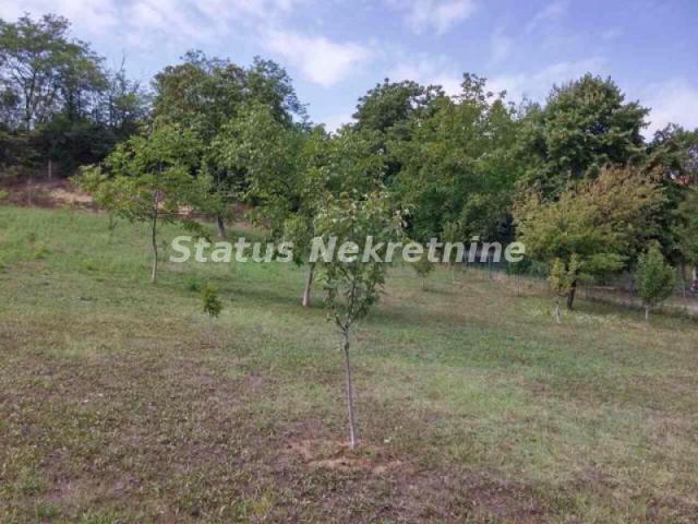 Sremska Kamenica-Povoljno Velika Parcela 3836 m2 na Fruškoj Gori-065/3858880