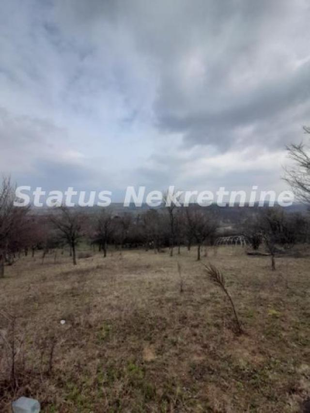 Petrovaradin-Veliki Građevinski Plac 3625 m2 na Platou Vezirca-065/385 8880