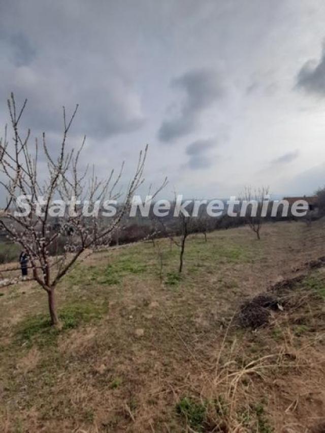 Petrovaradin-Veliki Građevinski Plac 3625 m2 na Platou Vezirca-065/385 8880