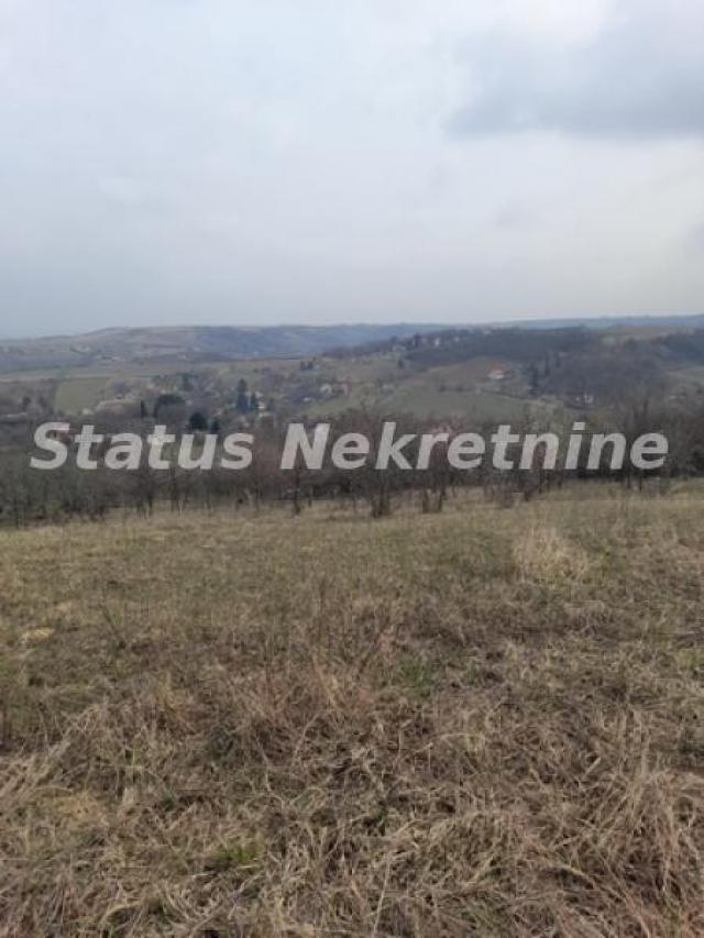 Petrovaradin-Veliki Građevinski Plac 3625 m2 na Platou Vezirca-065/385 8880