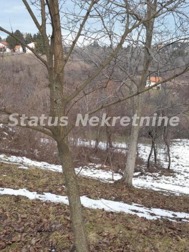 Banstol-Velika Parcela 12240 m2 za Umetnike i Hedoniste-065/385 8880