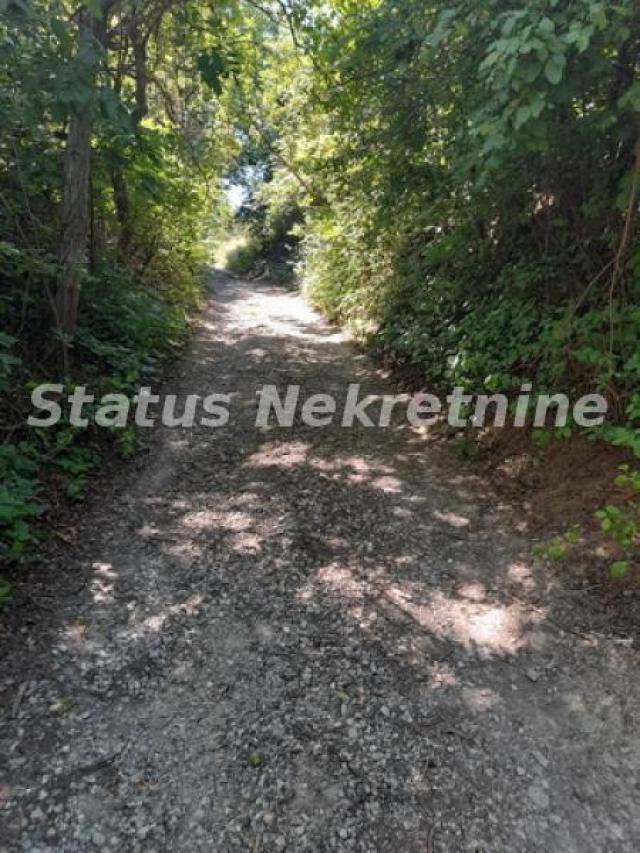 Petrovaradin-Građevinski Plac 6465 m2 na vrhu Alibegovca za Hotele ili Sportske sadržaje-065/385 888