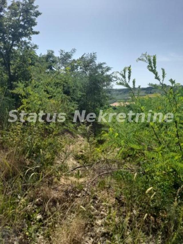 Banstol-Osunčan Veliki Plac 7500 m2 sa Pogledom na krivinu gde Dunav ljubi nebo-065/3858880