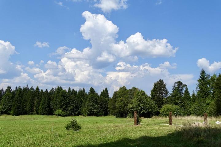 Delnice, manji teren u Lučicama za vikendicu ! 