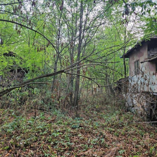 Ilino - Rtanj Kuca za rusenje ili adaptaciju na placu povrsine  od oko 20ari