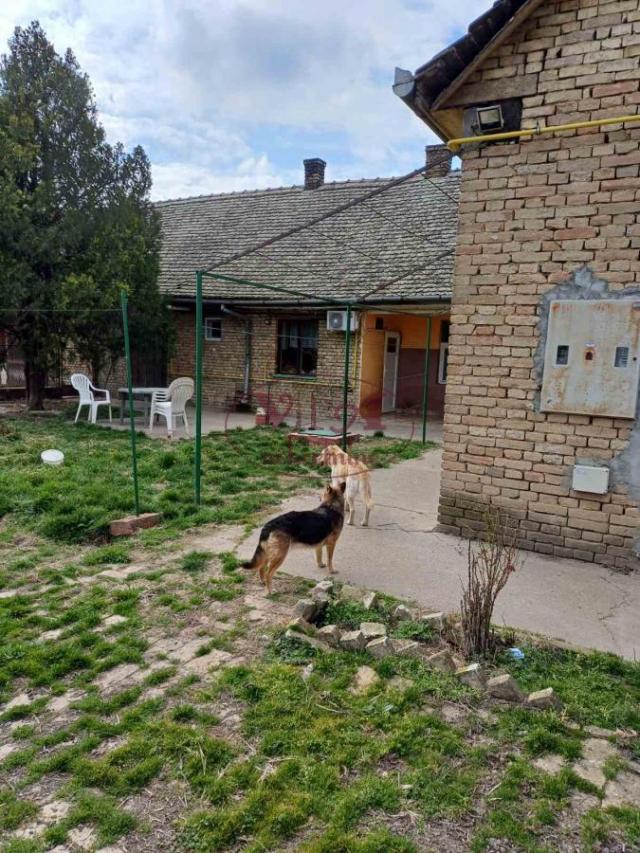 Srbobran, Nadalj, odlična kuća u centru na velikom placu