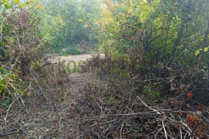 Prodaja, Građevinsko zemljište, Cvetanova ćuprija, Ladno brdo