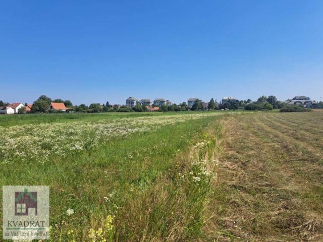 Plac, građevinsko zemljište, 2. 3 ha, Obrenovac