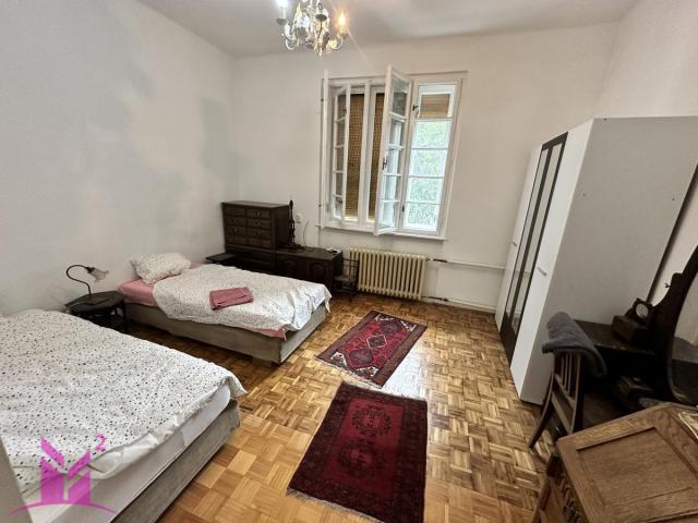 * Novi Sad - Stari grad * PET FRIENDLY