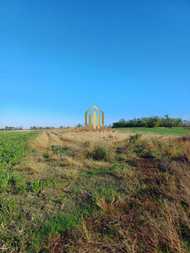 Građevinsko zemljište u Bačkoj Palanci - 5139m2