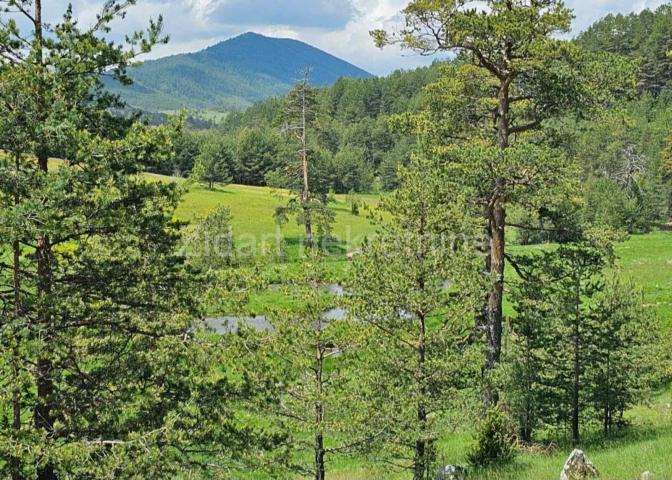 Zlatibor, Vodice, Izuzetan plac 11, 43 ara, Preporuka