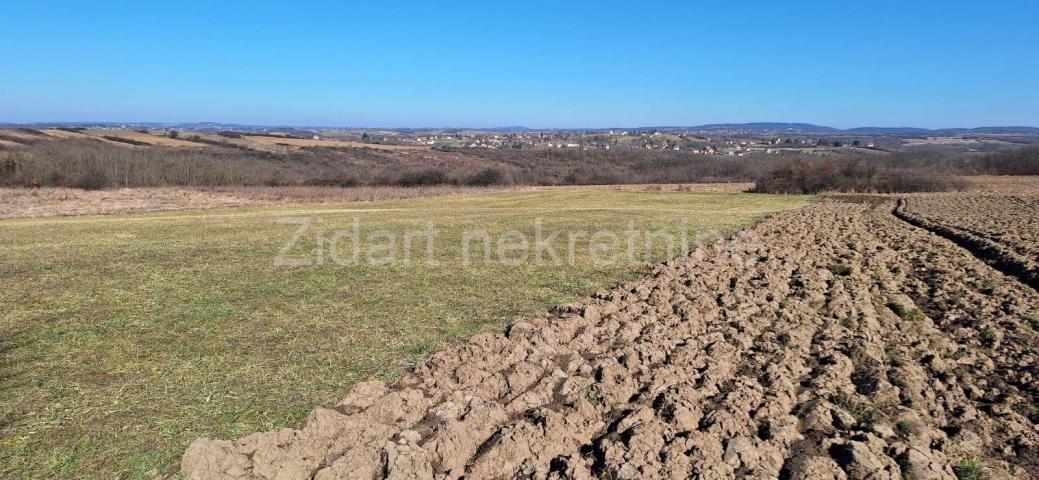 Manić, Veliko polje, 6862m2, uknjiženo