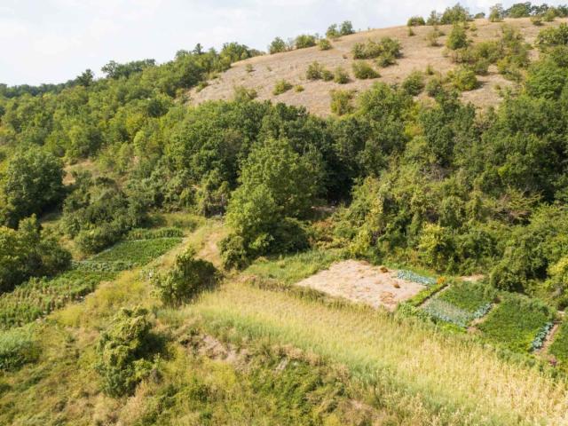 PLACEVI U SELU VRMDŽA KOD SOKOBANJE