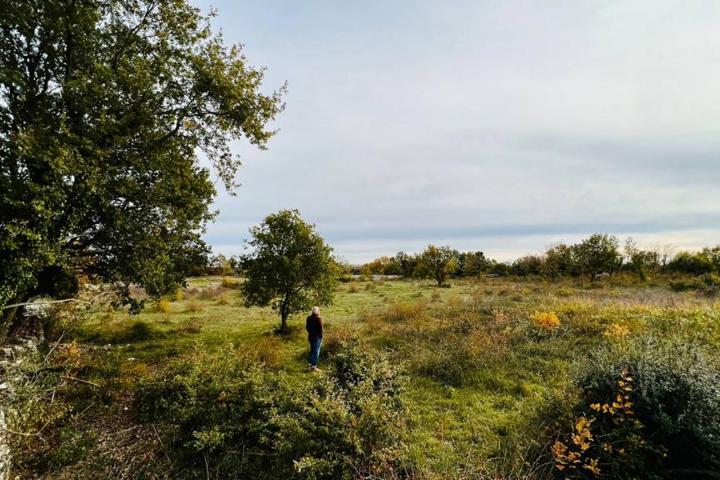 Istra, Vodnjan, građevinsko zemljište 2918m2 na odličnoj lokaciji s pogledom na more