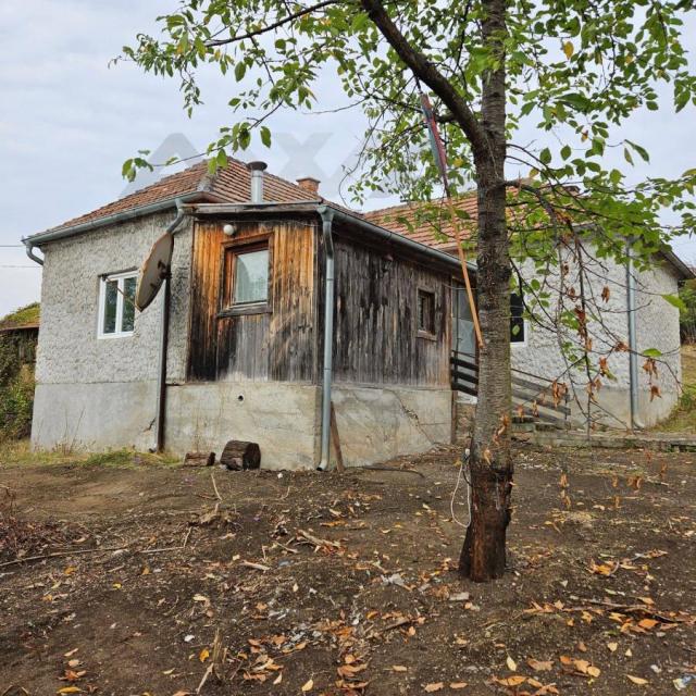 Valakonje- Boljevac  Ni na nebu , ni na zemlji... Domacinstvo sa oko 4hektara zemlje