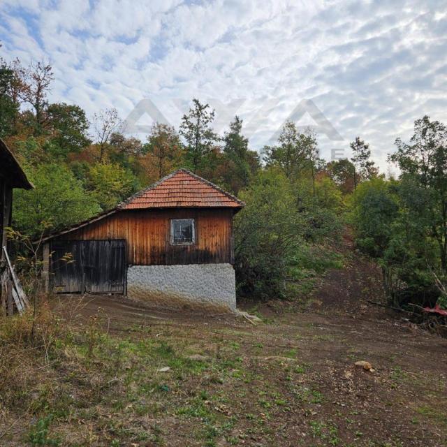 Valakonje- Boljevac  Ni na nebu , ni na zemlji... Domacinstvo sa oko 4hektara zemlje