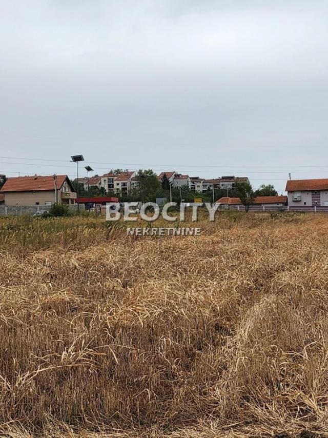 Čukarica, Sremčica, Bicin potok, 100a, 400000EUR