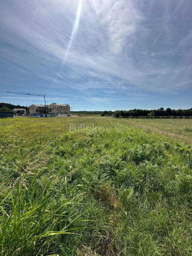 Prodaja, Istra, Želiski, zemljište, projekt za jednu ili šest vila 