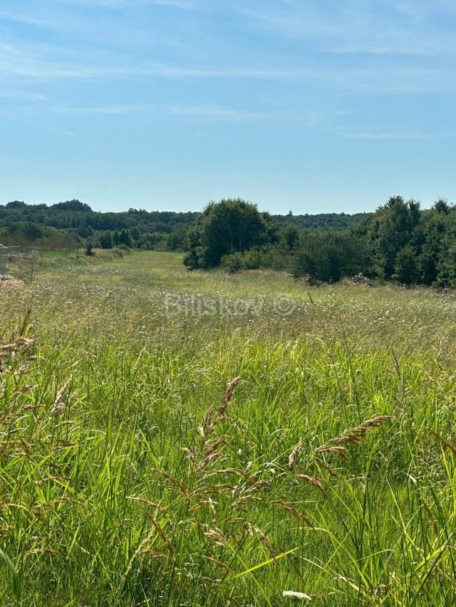 Prodaja, Istra, Želiski, zemljište, projekt za jednu ili šest vila 