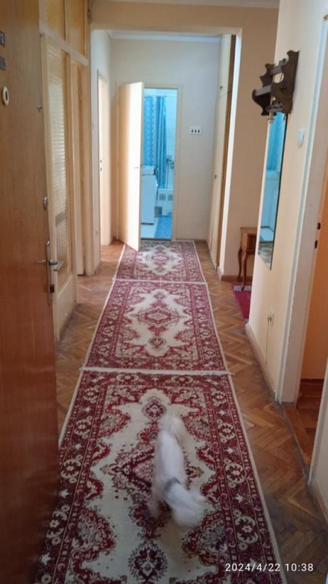 Dvoiposoban namešten stan, 79m2, Pet friendly, Žarka Vasiljevića, Centar