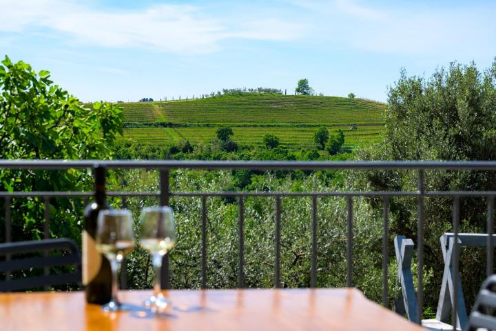 Buje, Eskluzivna samostojeća villa s očaravajućim panoramskim pogledom na more 