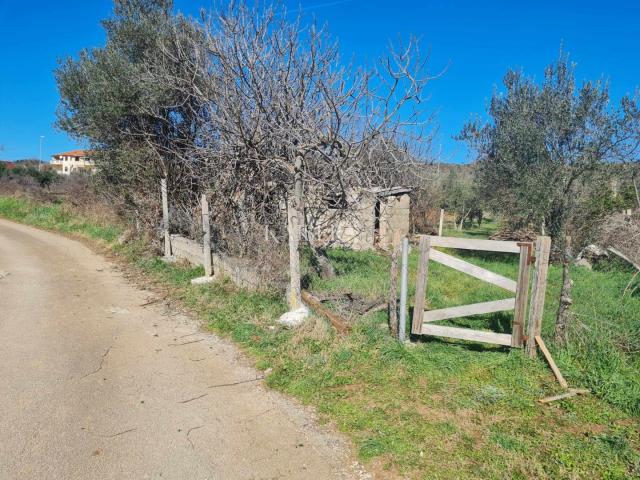 Zadar-Posedarje, attraktives Baugrundstück