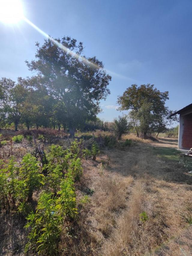 Seosko domaćinstvo u Kočinom selu na dobroj lokaciji