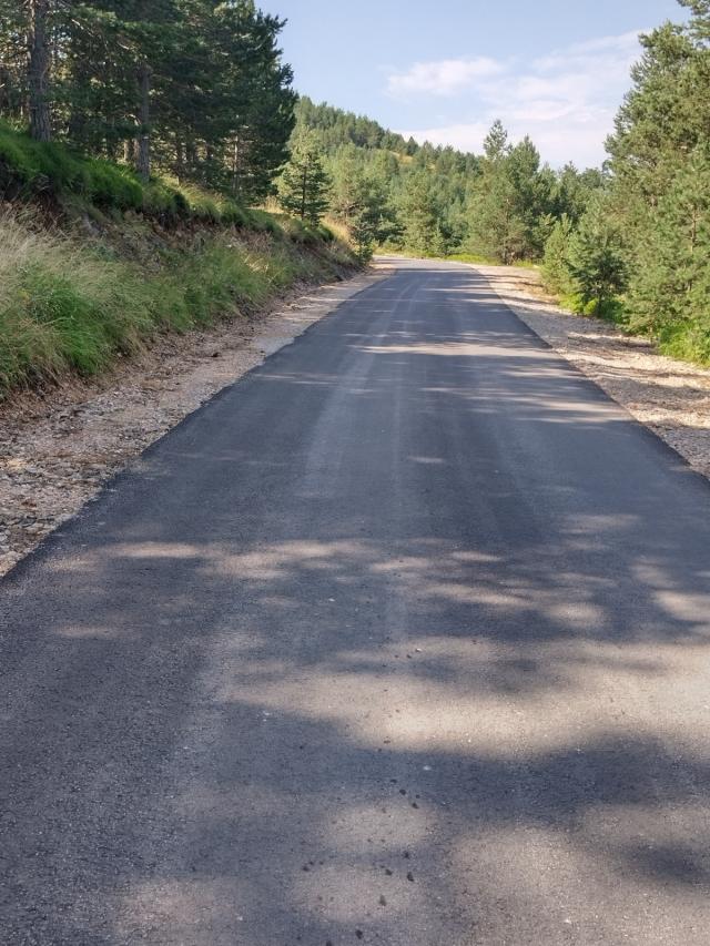 TARA planina plac sa izvorom 70a