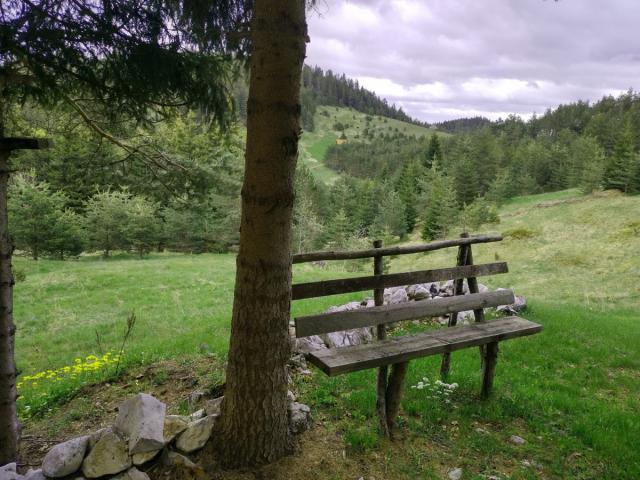 TARA planina plac sa izvorom 70a