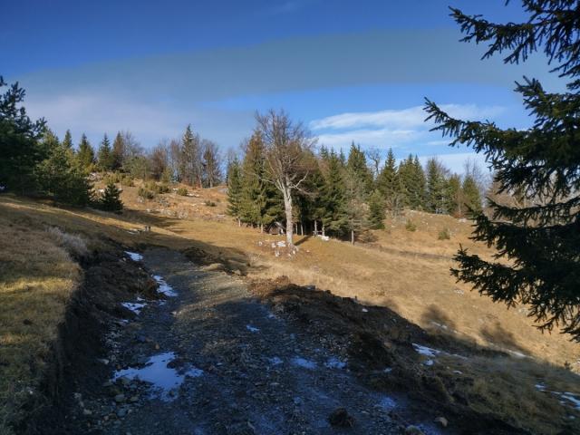 TARA planina plac sa izvorom 70a