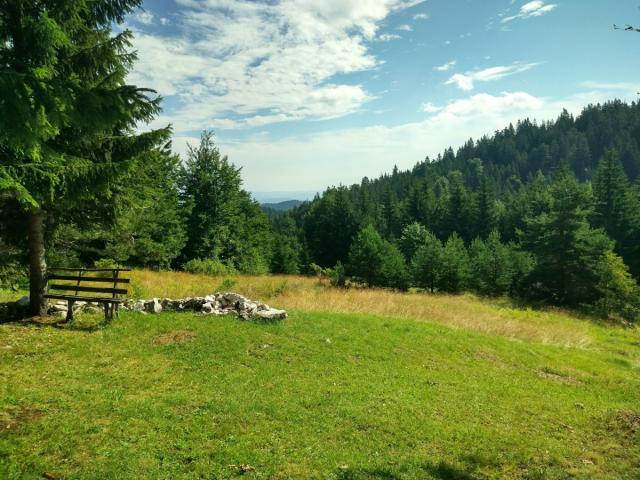 TARA planina plac sa izvorom 70a