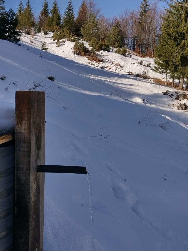 TARA planina plac sa izvorom 70a