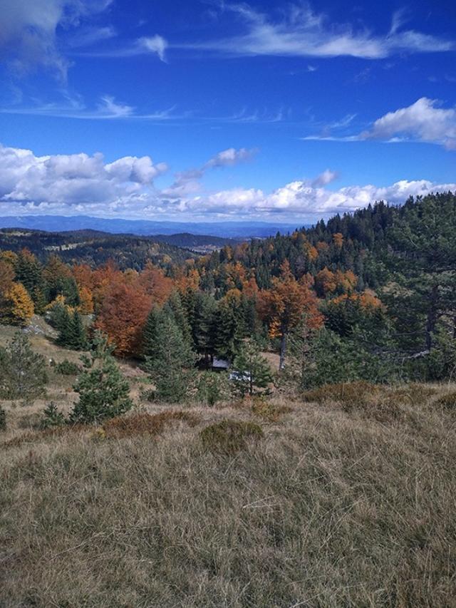 TARA planina plac sa izvorom 70a