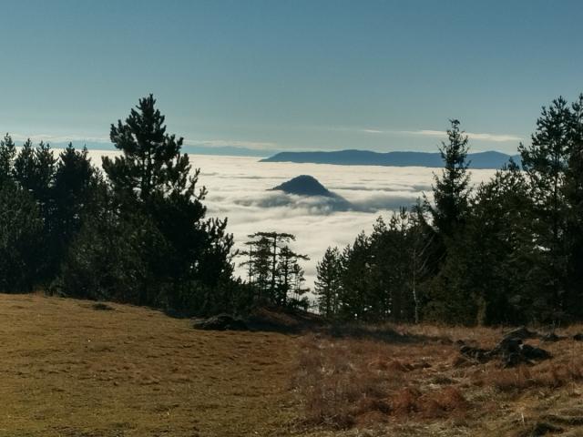 TARA planina plac sa izvorom 70a