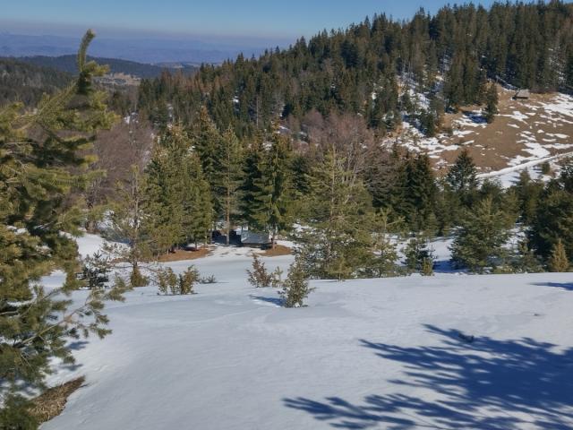 TARA planina plac sa izvorom 70a