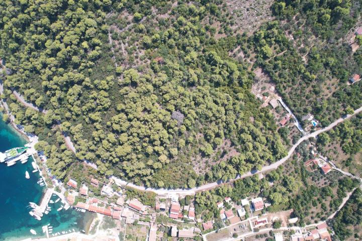 Otok Šipan, građevinsko zemljište 2. 600 m2