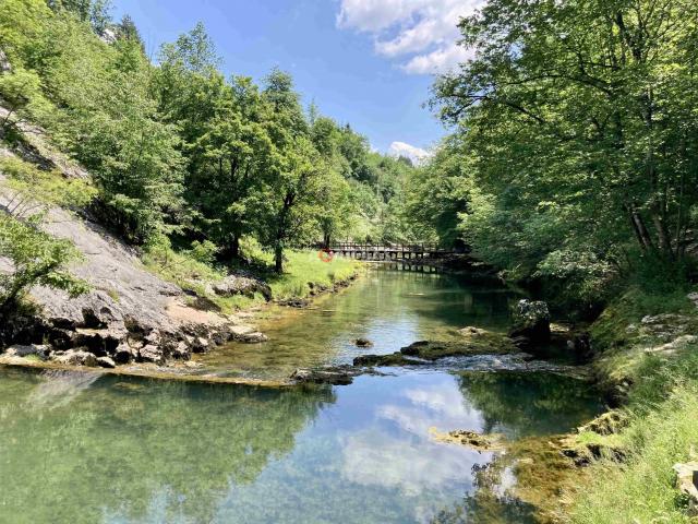 Tounj, zemljište 16. 940 m2, šuma