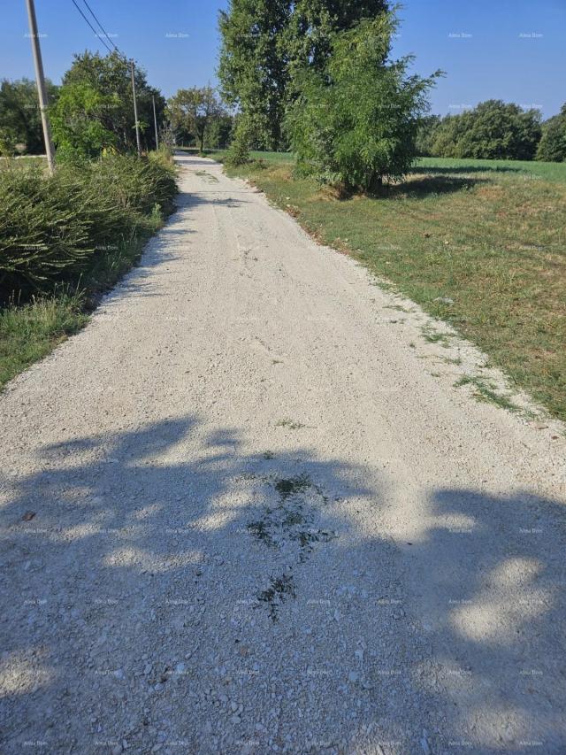 Građevinsko zemljište Prodaja građevinskog zemljišta, Žminj