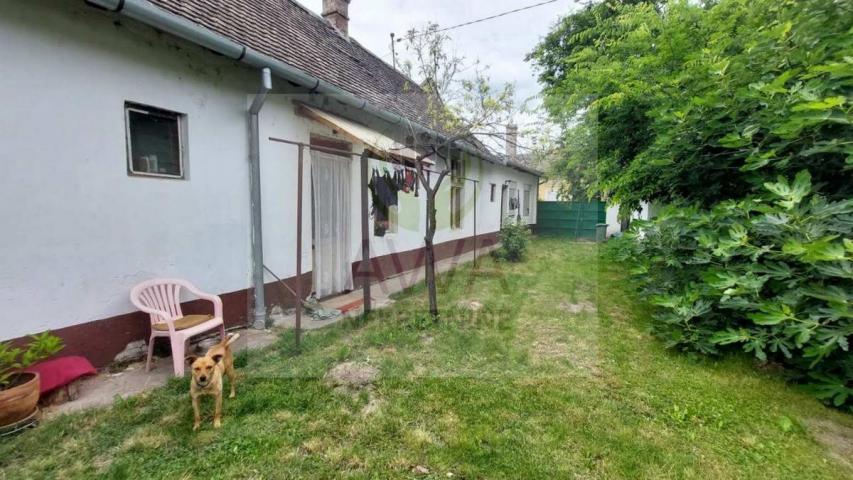 Kuća, Sombor, Gornja Varoš, 385 m2, na placu od 10 ar