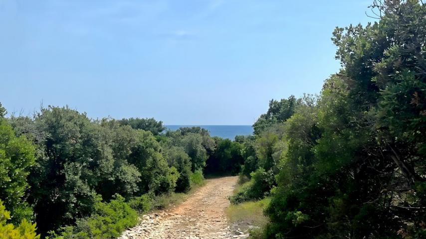 Land Marčana, 77.400m2