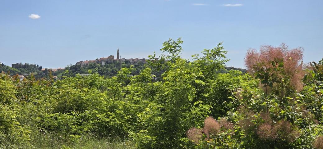 Grundstück Buje, 1.000m2