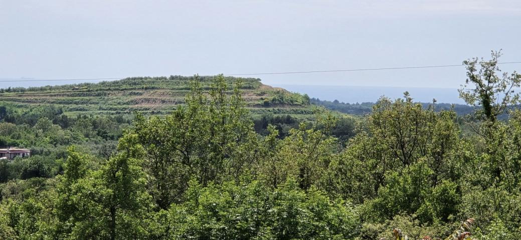 Grundstück Buje, 1.000m2