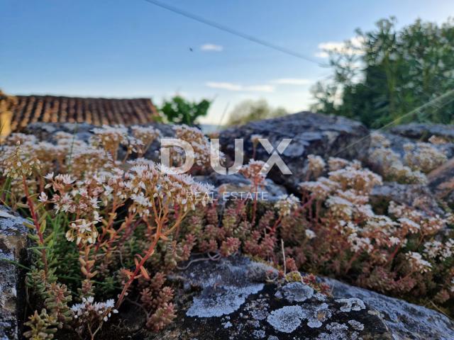 ISTRIA, LIVADE (surroundings) - Stone antiquities with a panoramic view